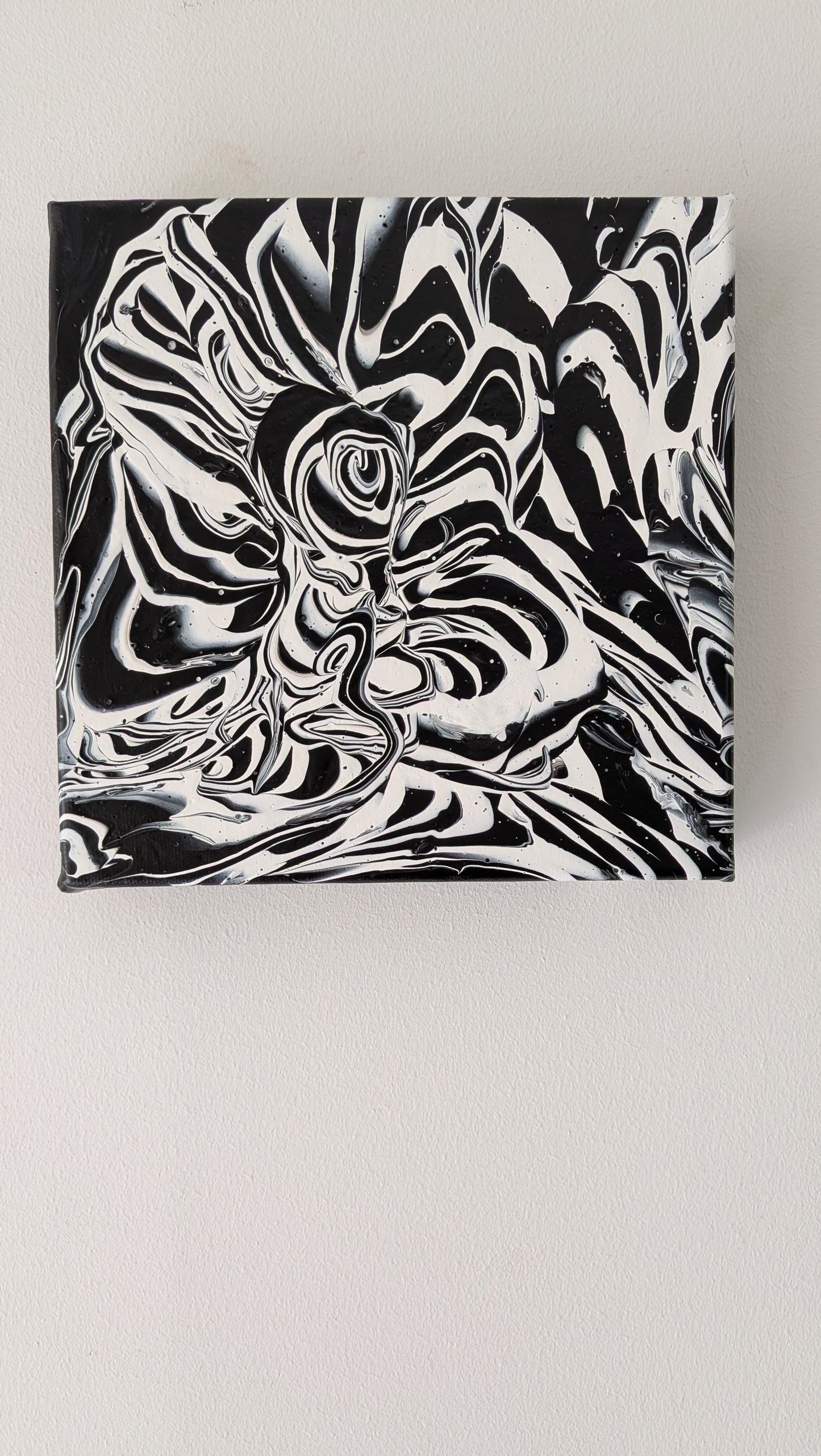 Zebra's Favorite Color | Original Acrylic Painting